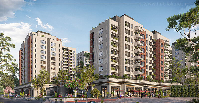 289e9564d0a980a73e7703ff93a125fb8-2M