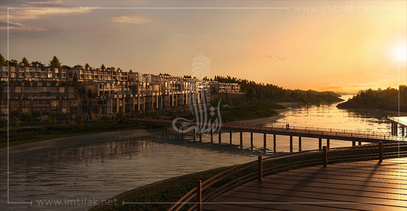 323989617ca245d1469dee6753faf8ef6-1D