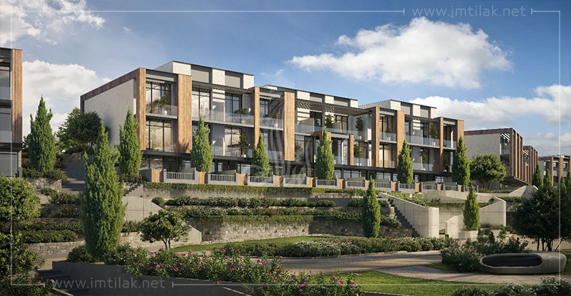 323989617ca245d1469dee6753faf8ef7-4A