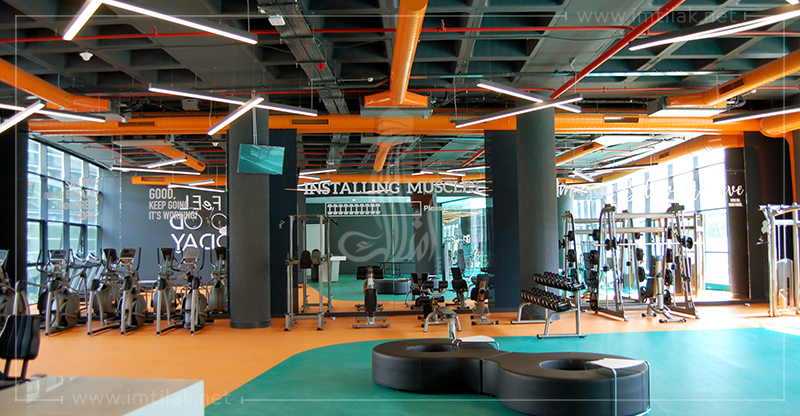 649888617d4145523bcde35dedda4d0013-9O