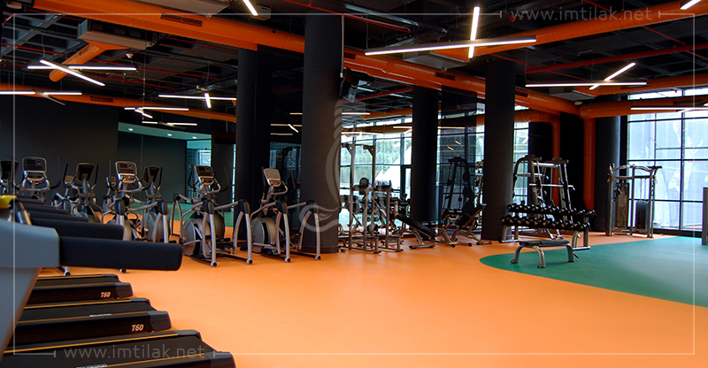 649888617d4145523bcde35dedda4d008-8T