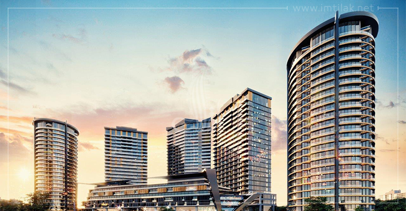 8409abe678bf0f192fe7edb32552579e14-2F