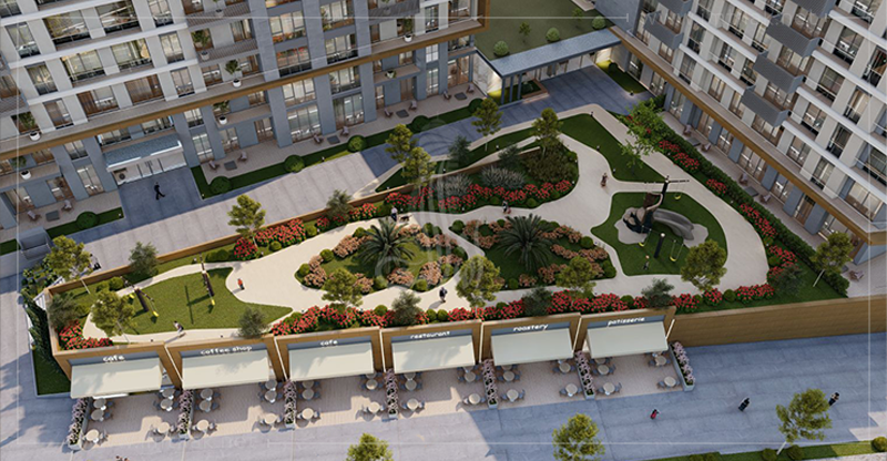 d0dbc04bf726bcc7315ede3ee81b9b8512-1V