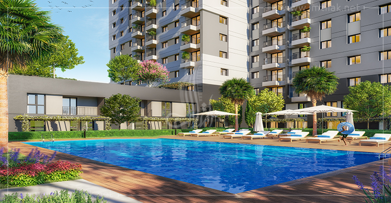 d22076d277430671e7df32b8ecf04e1f8-1B