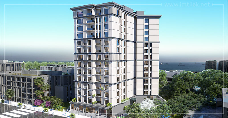 e69bad2962268fd5bebeb52504edd0bd12-6P