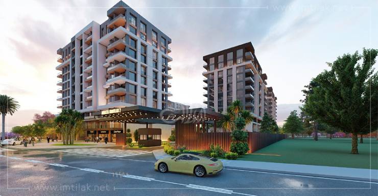 f293478d403aa42f89faeacaf055ee8510-3X