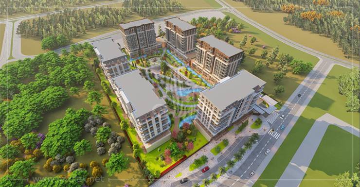 f293478d403aa42f89faeacaf055ee8510-5H